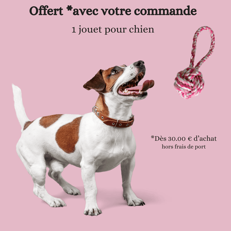 cadeau-jouet-crocandiz cadeau-crocandiz-boite-biscuits<br />